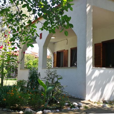 Garden Bungalow Valentina Ставрос Экстерьер фото